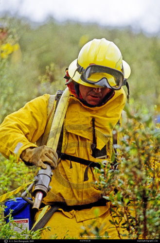 Cal Fire Training Exercise