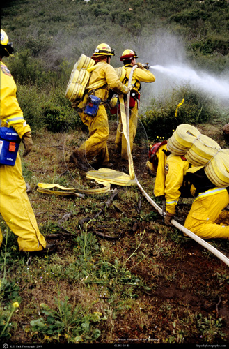 Cal Fire Training Exercise