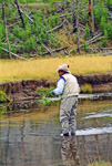 Flyfishing on the Gibbon River