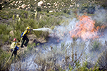 Wildfire Firefighting, Firefighter